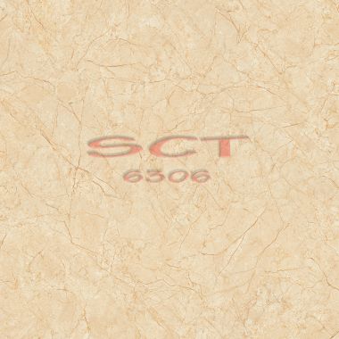 SCT6306