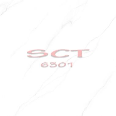 SCT6301