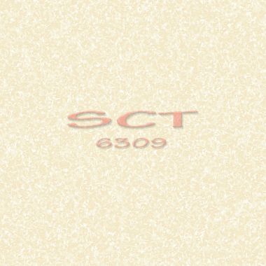 SCT6309